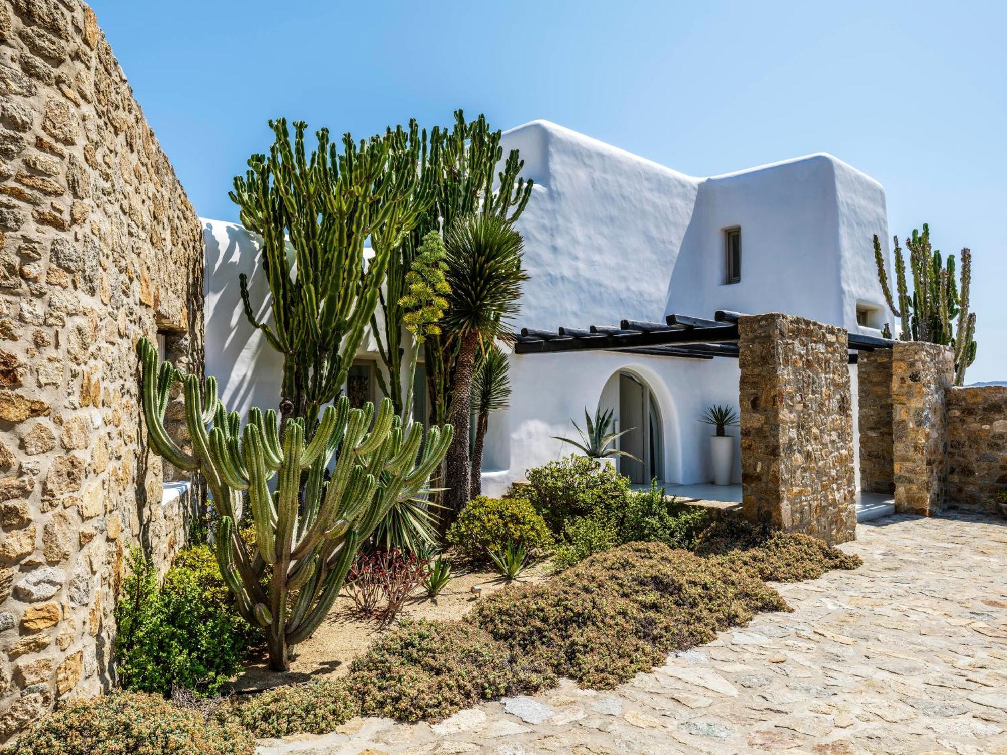 Agave Mykonos Town